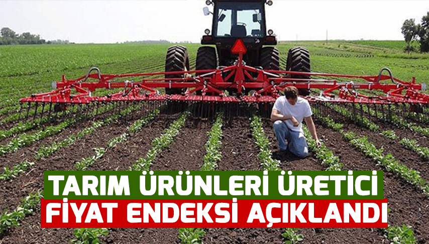 Tarım Ürünleri Üretici Fiyat Endeksi Açıklandı