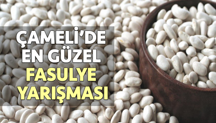 Çameli’nde En Güzel Fasulye Yarışması