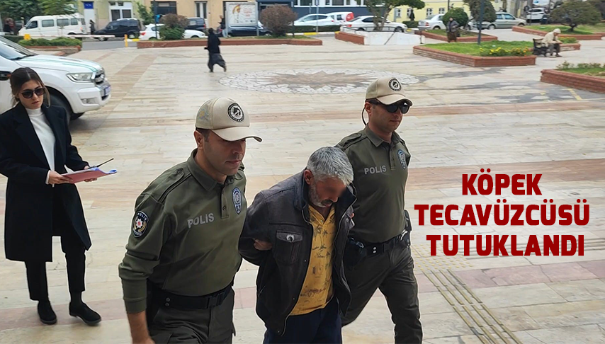 Köpek tecavüzcüsü tutuklandı!