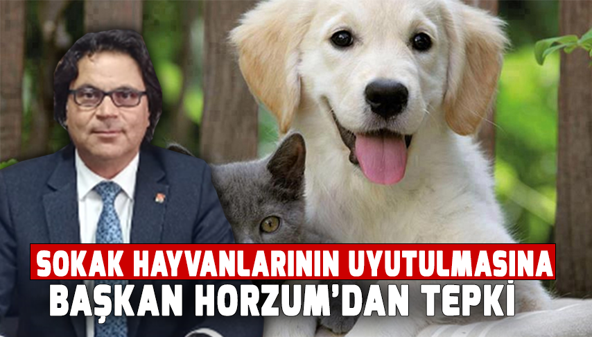Sokak hayvanlarının uyutulmasına Başkan Horzum’dan tepki