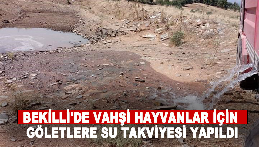Bekilli’de vahşi hayvanlar için göletlere su takviyesi yapıldı
