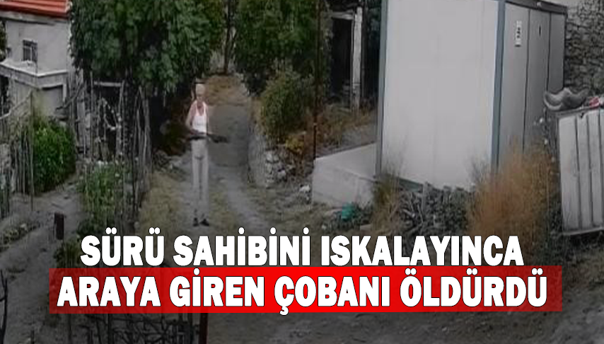 Sürü sahibini ıskalayınca araya giren çobanı öldürdü