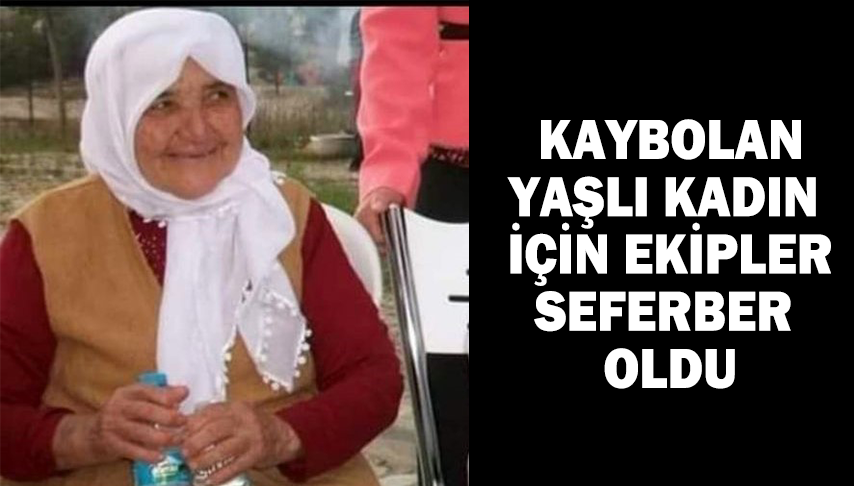 Kaybolan yaşlı kadın için ekipler seferber oldu