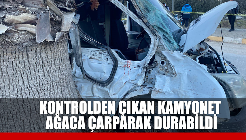 Kontrolden çıkan kamyonet ağaca çarparak durabildi