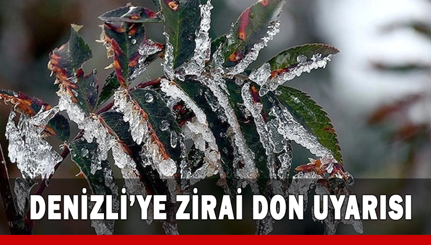 Denizli’ye Zirai Don Uyarısı